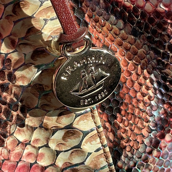 Brahmin Celina - Picture 2 of 11